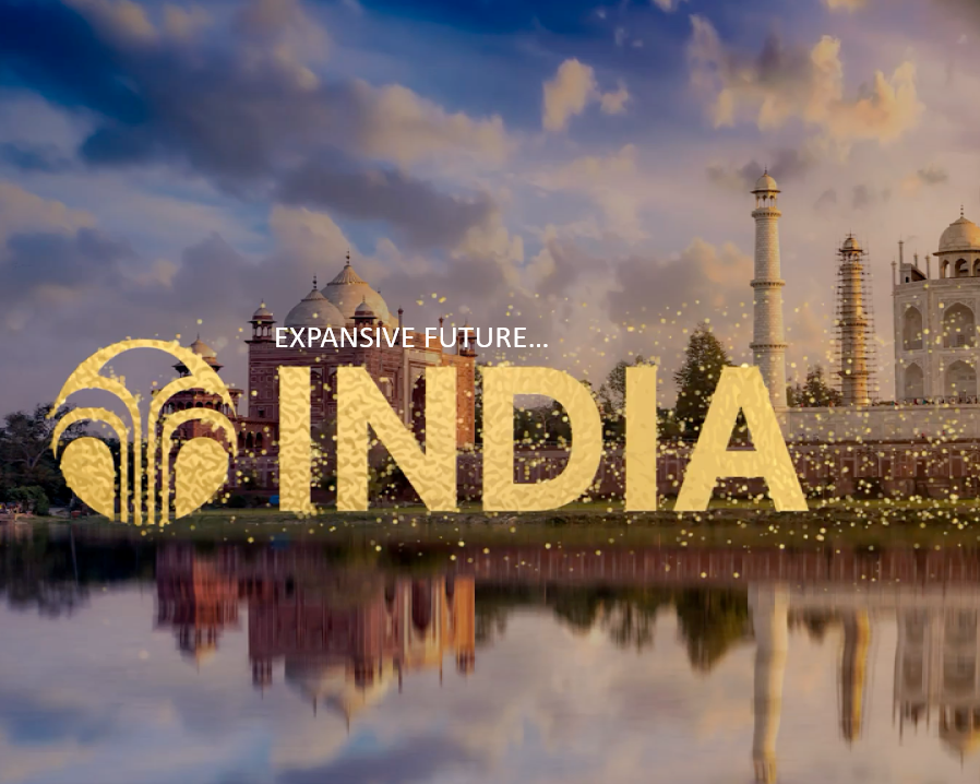 India 2025_rectangle