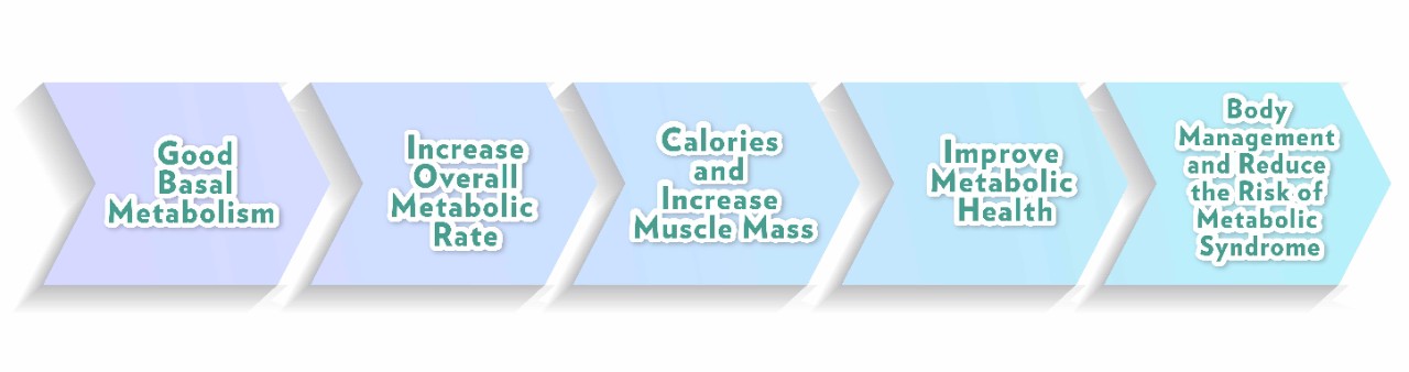 代謝健康學堂 Landing Page_EN