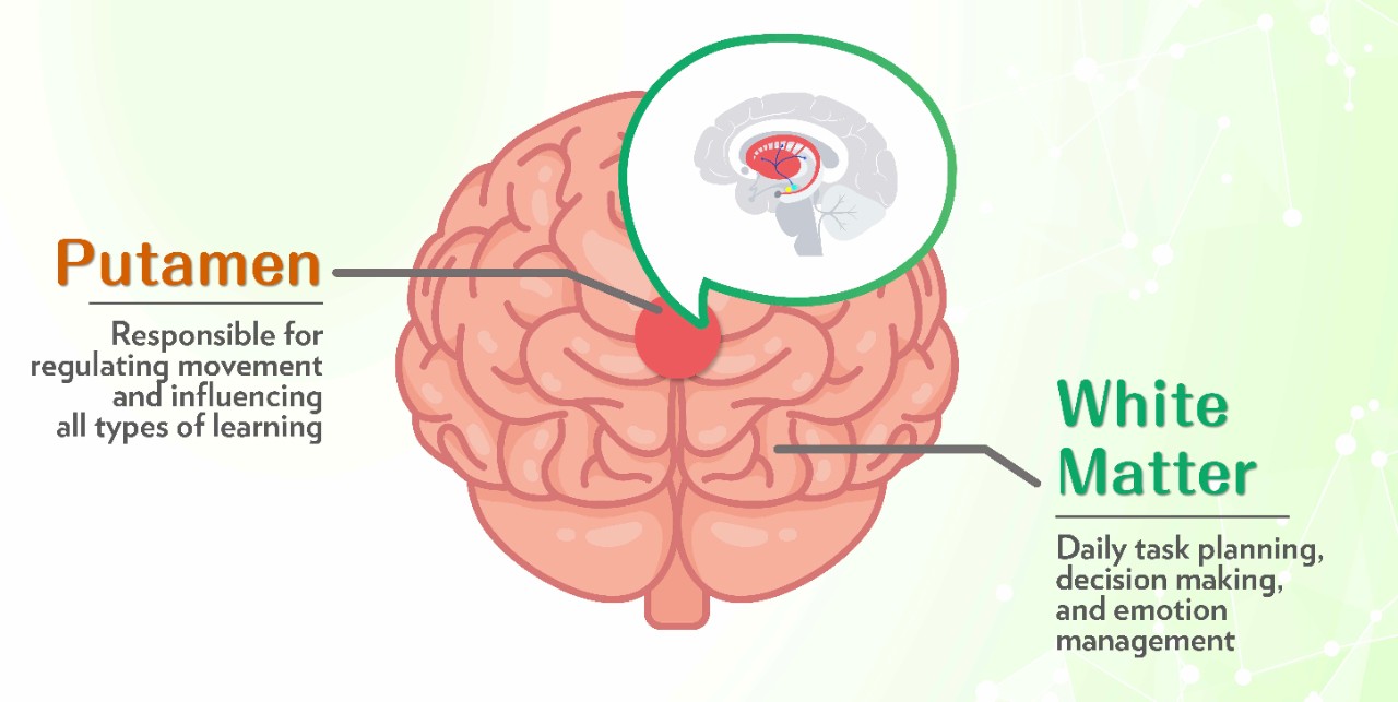 代謝健康學堂 Landing Page_EN