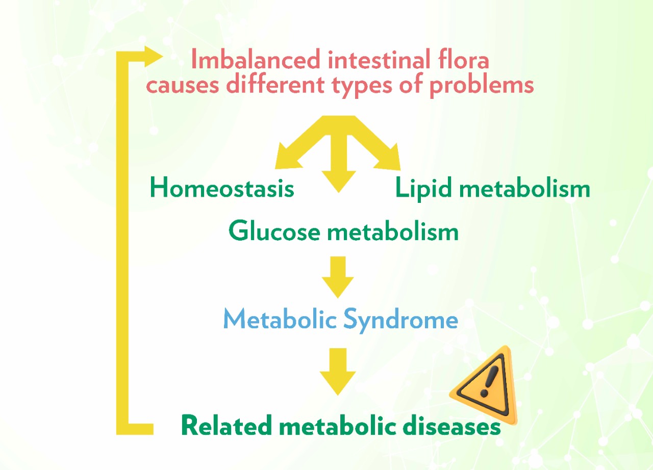 代謝健康學堂 Landing Page_EN