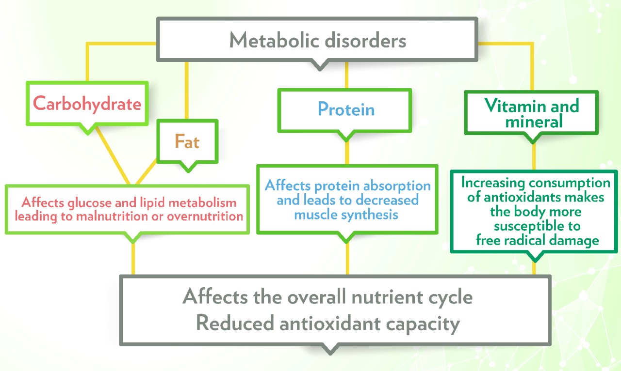 代謝健康學堂 Landing Page_EN