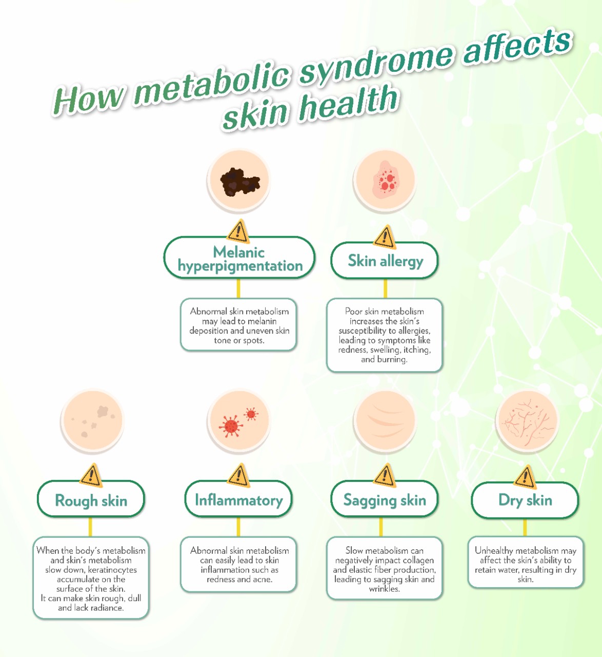 代謝健康學堂 Landing Page_B_EN