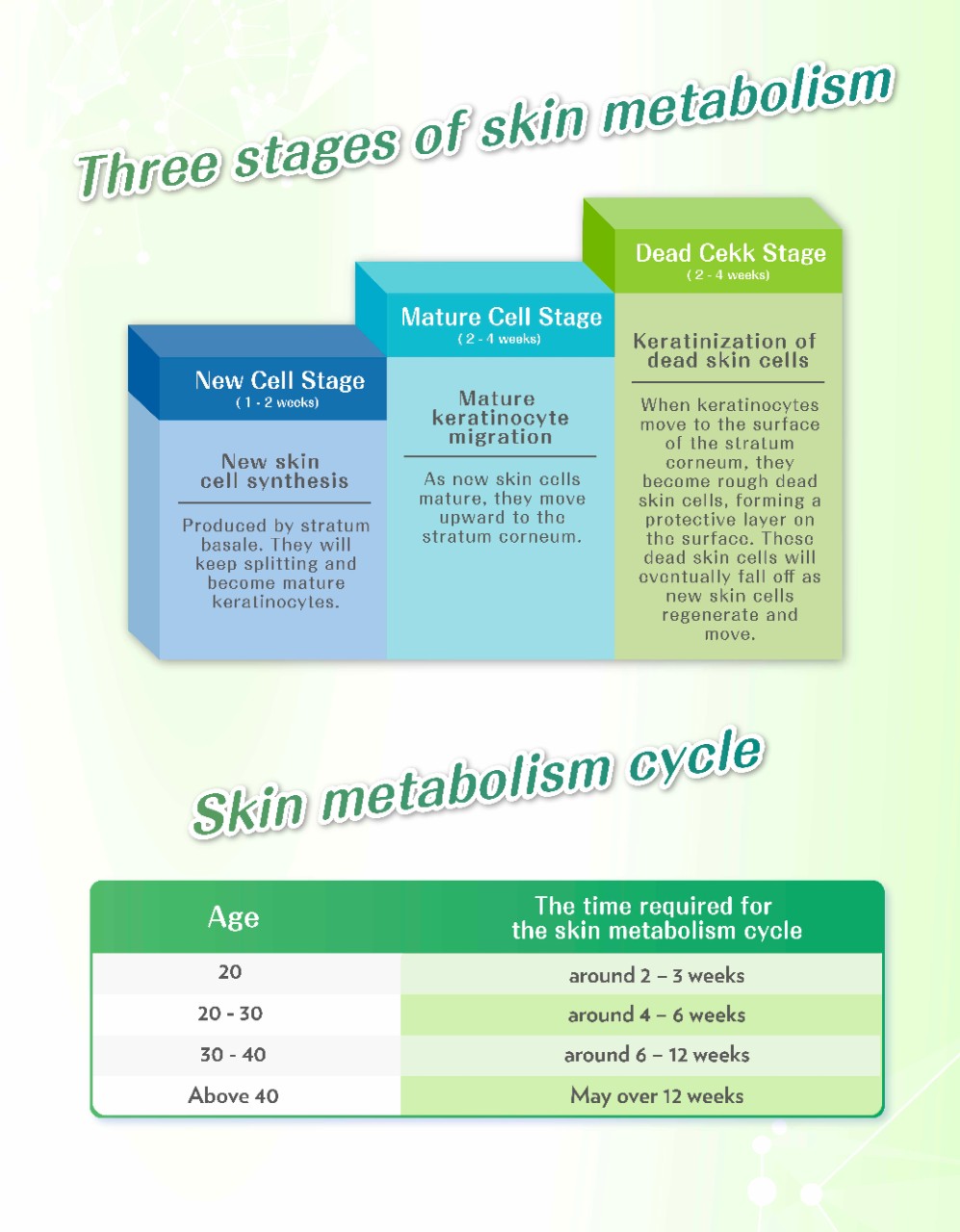 代謝健康學堂 Landing Page_B_EN