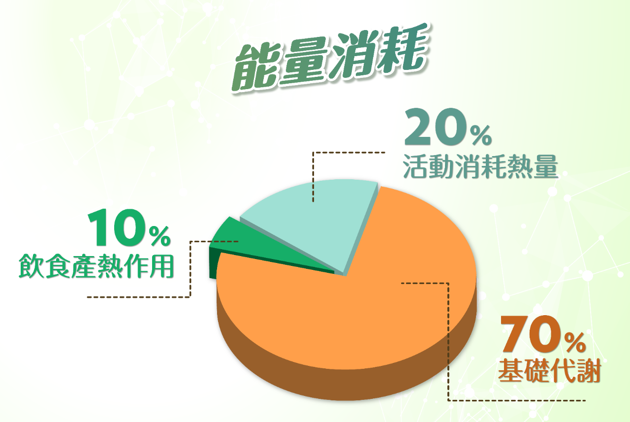 代謝健康學堂 Landing Page-08