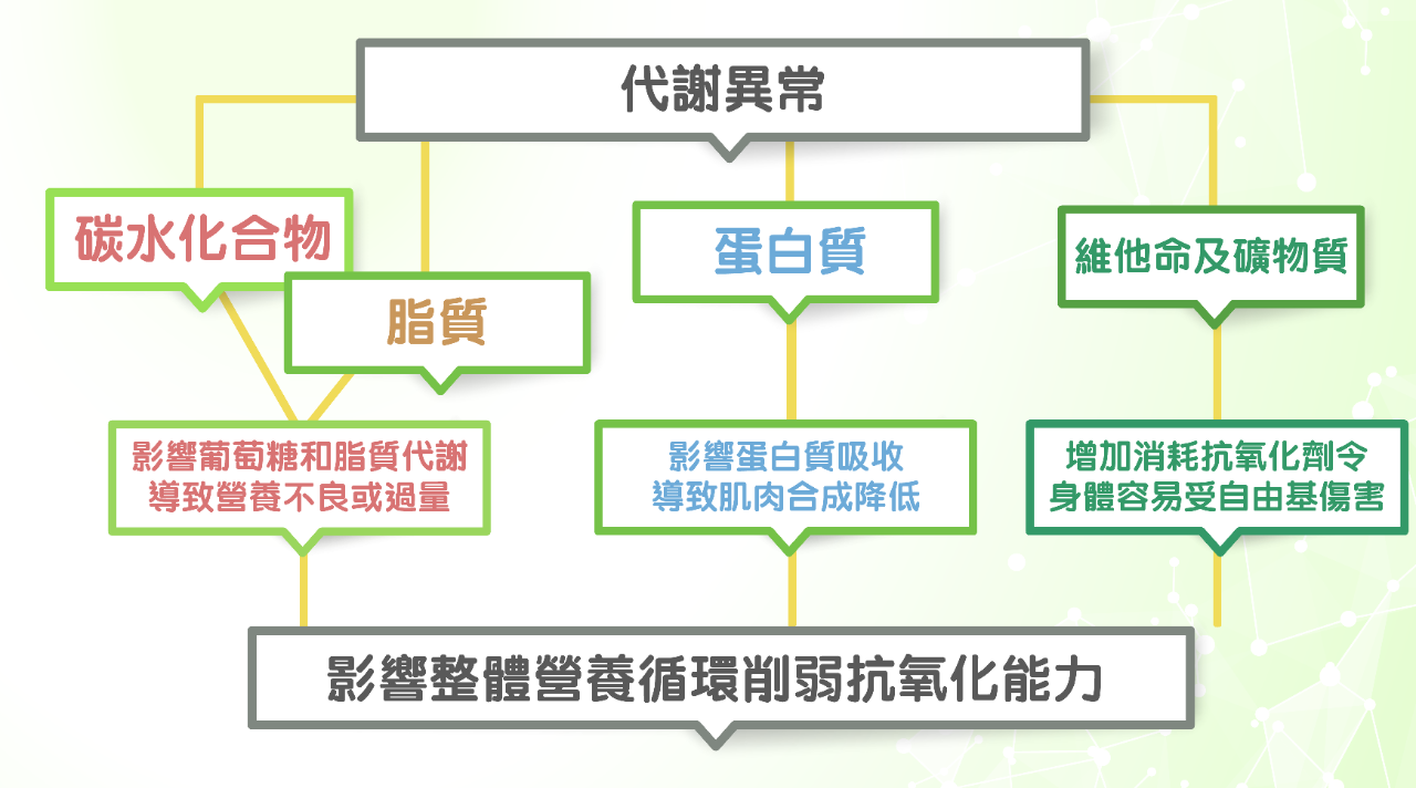 代謝健康學堂 Landing Page-19