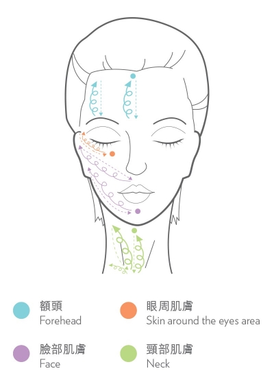 face_06_v2